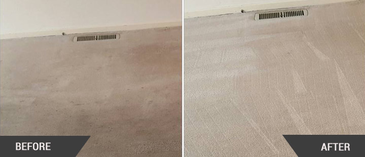 Carpet Cleaning Point Wilson