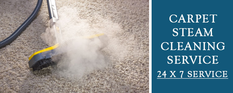 Carpet Steam Cleaning Back Valley
