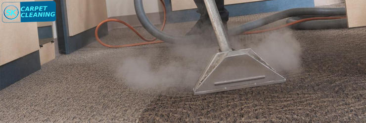 Carpet Steam Cleaning
